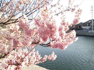 2014-03-11 16.39.08_R.jpg