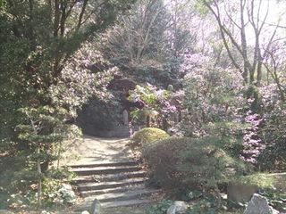 2014-03-17 13.37.19_R.jpg