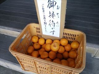 2014-03-17 13.42.54_R.jpg