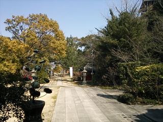 2014-03-17 13.46.14_R.jpg
