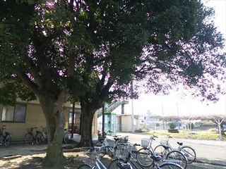 2014-03-17 14.53.31_R.jpg