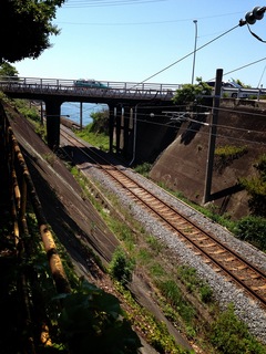 写真 2013-05-12 15 16 10.jpg