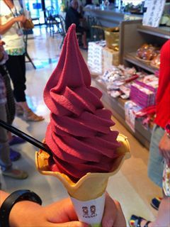写真 2013-07-01 13 41 43_R.jpg