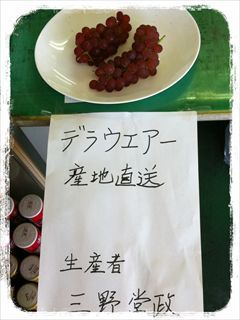 写真 2013-08-25 23 16 00_R.jpg