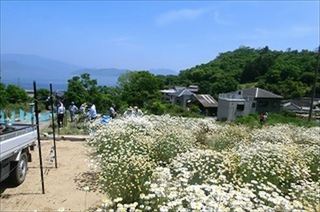 jochuugiku20058-thumbnail2-thumbnail2_R.jpg