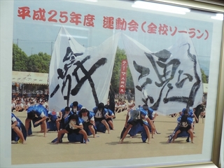 ta048.JPG