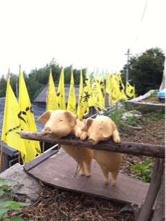 image-20131015001757.png